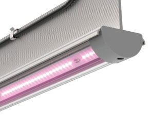 Gardenia Flussirari pink light linear LED fixture for farming and controlled environment cultivation.